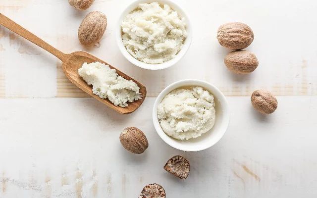 What is Shea Butter