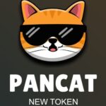 Pancat Coin Pancatcoin.com: All You Need to Know about PancatCoin.com
