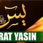 Surat Yasin Arab Saja PDF – Complete Text in Arabic Script