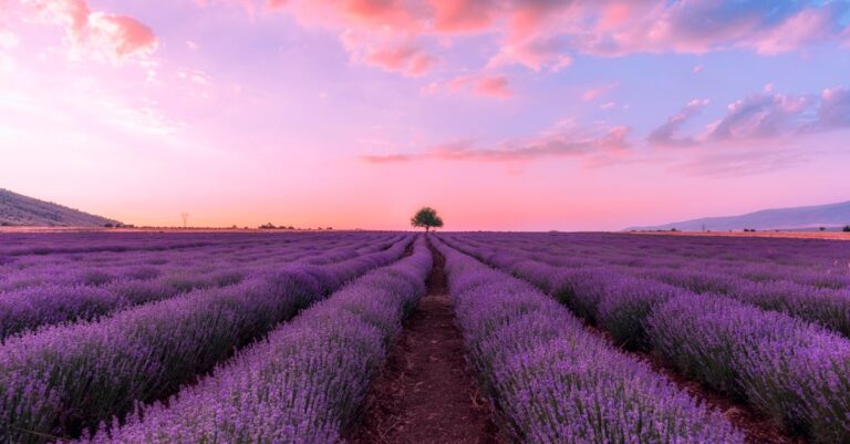 travel size fragrance