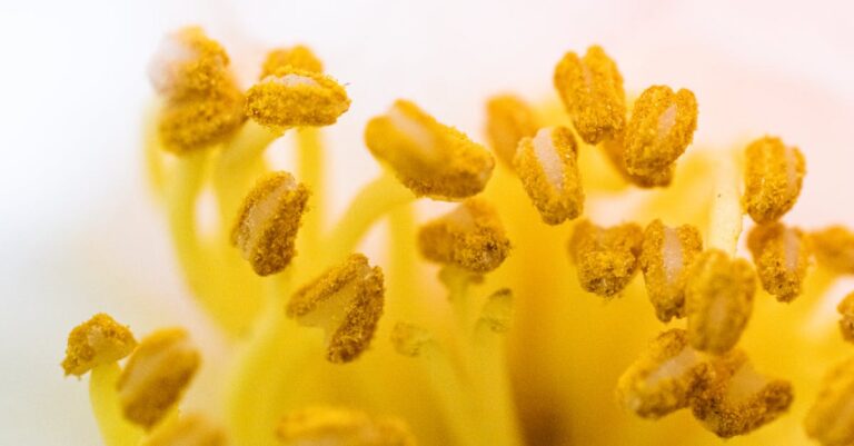 fragrance carolina herrera